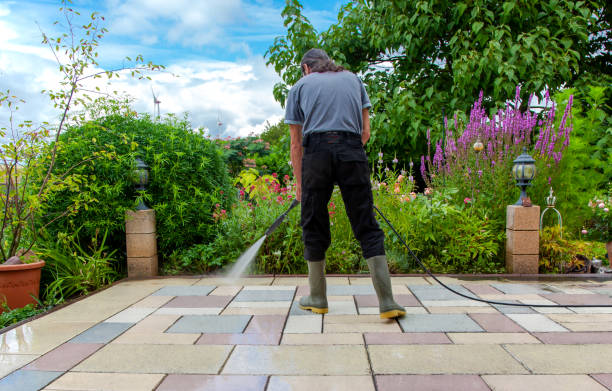 Best Pool Deck Cleaning  in Shelburn, IN